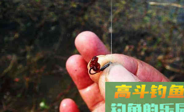 商品饵料才能钓到鱼？我表示不服，试试这些东西再说