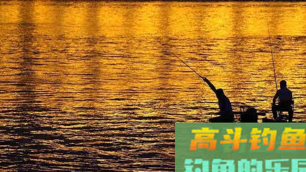 老钓友告诉你：记住这几招，浅水一样钓大鱼