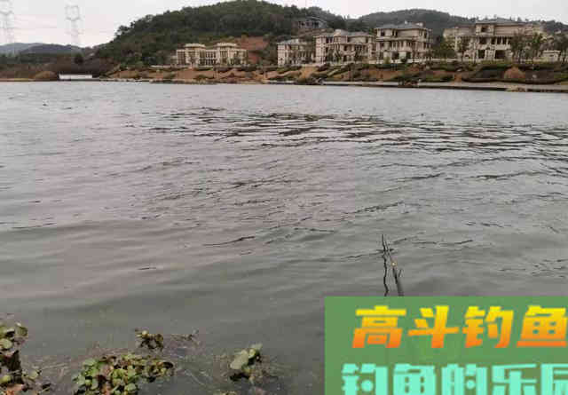 夏季打隔夜窝没效果？肯定是方法不对