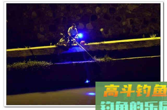 钓鱼不钓草，等于瞎胡跑”，忽视这5点，钓草同样是瞎胡跑