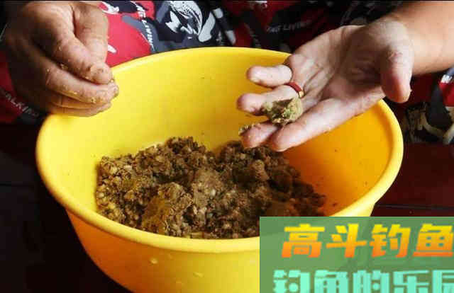 明人不说暗话，秋天我就只想用这鲤鱼饵