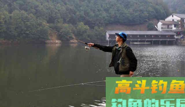 钓鱼有规律，别再用钓无定律、随机应变忽悠人