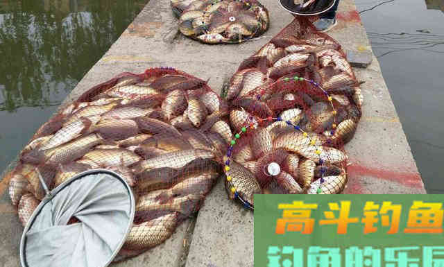吐槽：钓鱼小药闭两边，最后闭的到底是谁