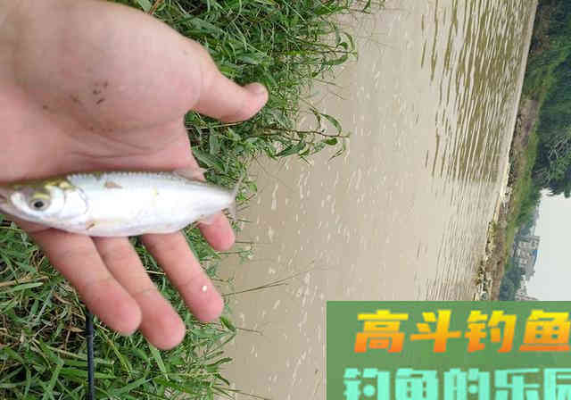 别人钓到鱼，你却钓不到，原因都在这里了