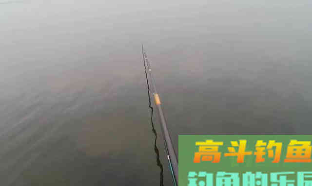 秋天来了,推荐几款商品饵,比蚯蚓还好用