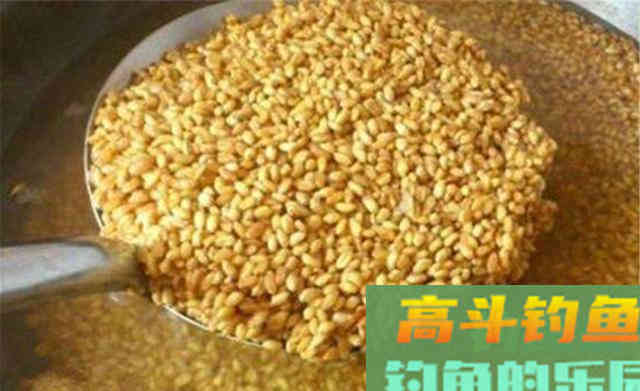 入冬之前野钓大鲫鱼，我从来不用蚯蚓和红虫