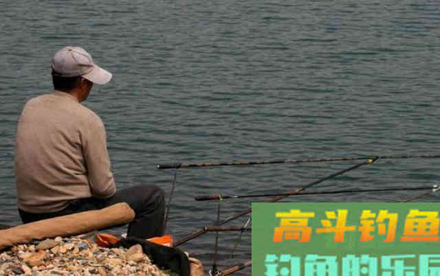 自己做窝，专钓大鲫鱼