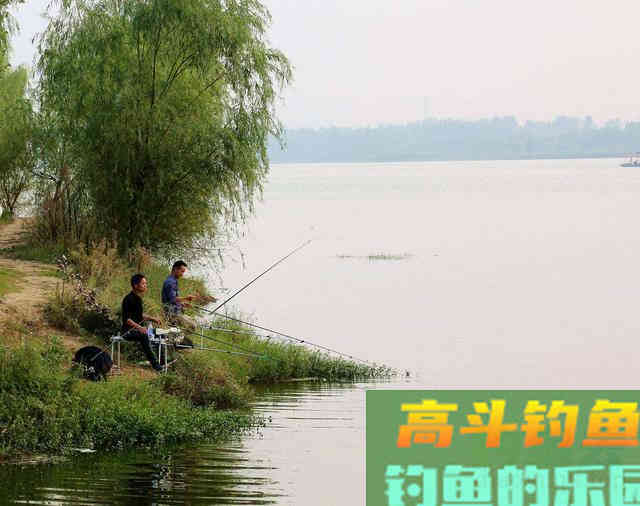 真的是早上鱼口最好吗？其实鱼的开口时间与水质关系很大