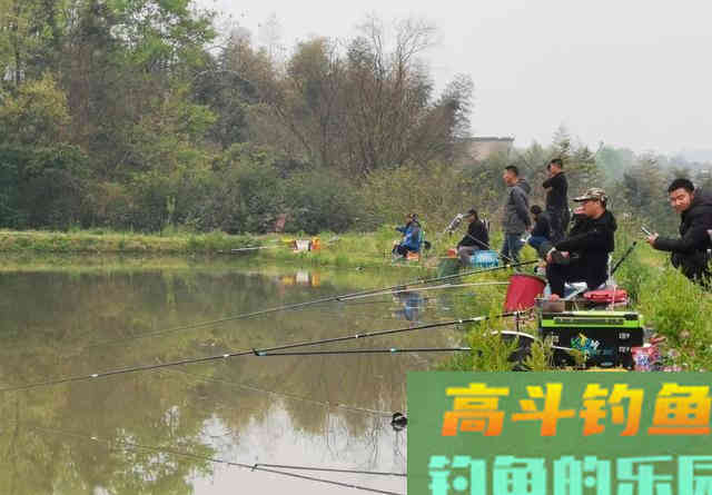 刚放生的鱼不会咬钩？恰恰相反，刚放生最好钓的
