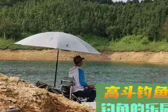 钓点有鱼却总是扬竿无鱼？老司机无奈道破真相