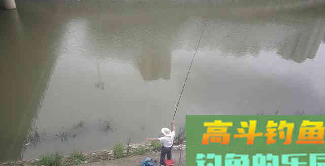 无鱼吃钩咋办？新钓友和老钓友思路相差很大