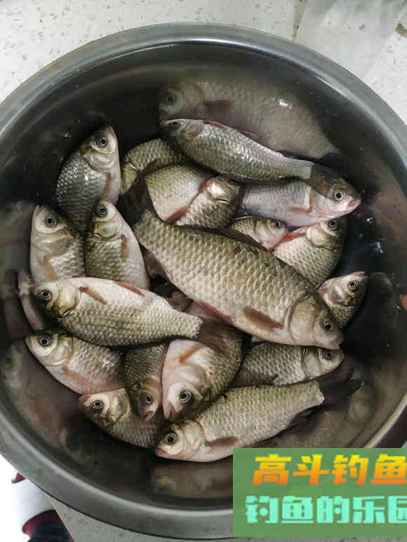 升温鱼儿上浮不好钓？三技巧让它进鱼护