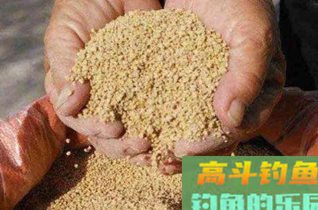 一般小药真比不上这鲤鱼饵