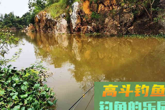 钓鱼中的5大误区，一次性全说出来