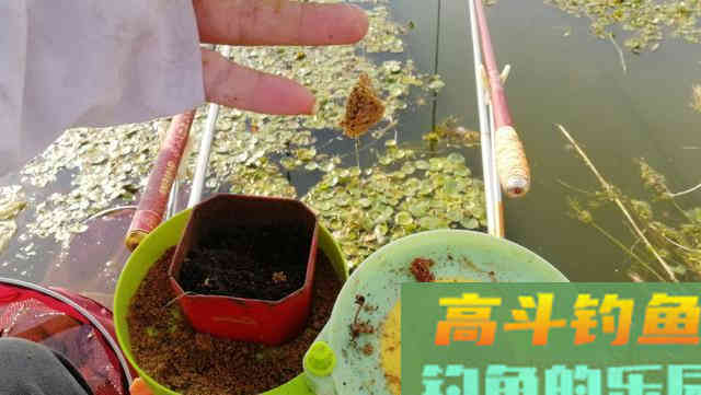 野钓重饵、轻饵如何选？看看老钓友是怎么说的