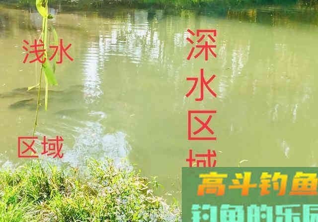 要想钓获好，到底是钓位重要还是饵料重要