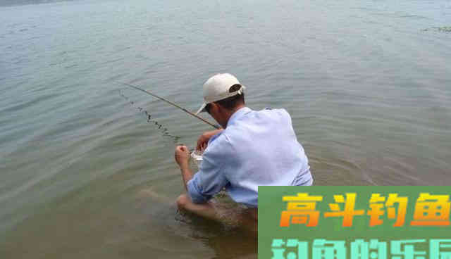 总是钓不到鱼？学会这5点，新手变高手