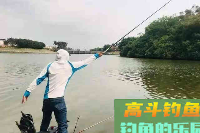 这套钓鱼“三字经”是谁编的？你又被它骗了多少年
