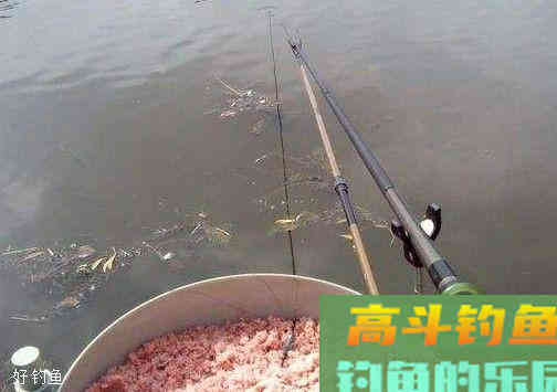 野战蓝鲫经典配方，垂钓鲫鱼鲤鱼鲢鱼