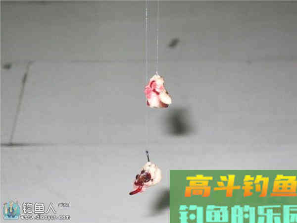 冬季垂钓的果冻红虫拉饵配方制作方法