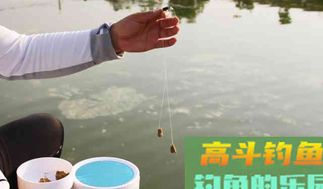 子线粗了会挡口？想多钓鱼，这样选用子线才是王道