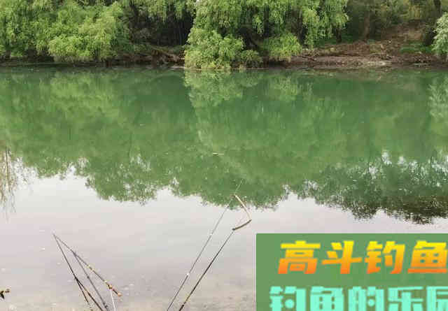 老手一根竿、新手摆地摊？错！把鱼钓上来才是王道