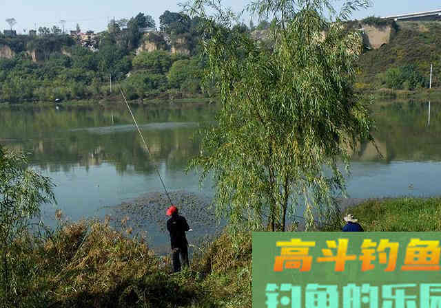 钓友自制不差钱窝料，成本上百块，只为钓到鱼