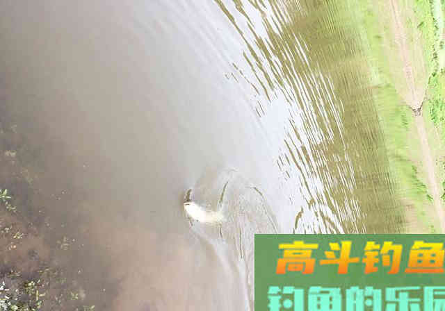 上鱼多的秘诀，不靠昂贵的钓具，而是思路