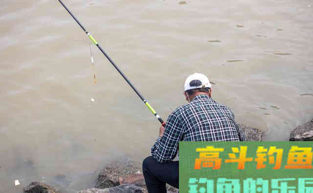 退水后鱼该怎么钓呢