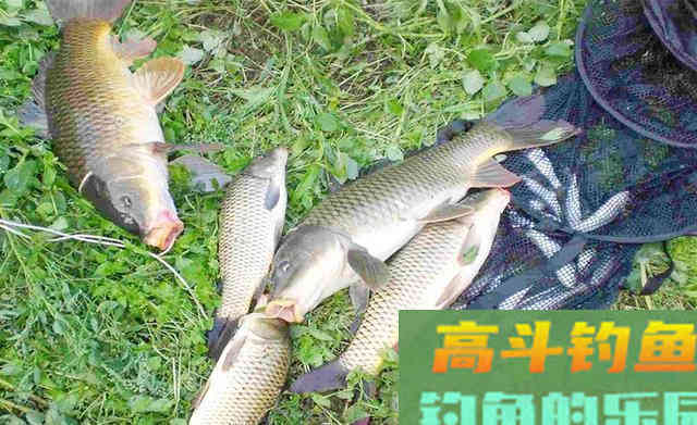 天冷钓远，天热钓深，不冷不热钓边