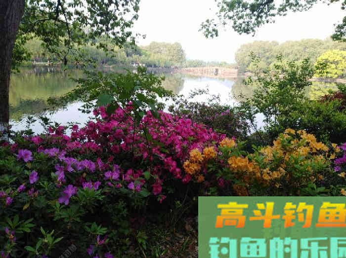 钓鱼老手对商品饵配比的实践体会