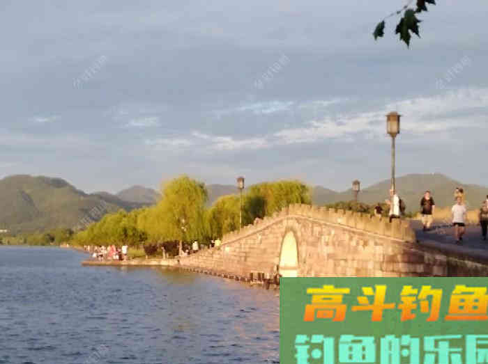 要想配好饵得先了解商品饵的分类和特性