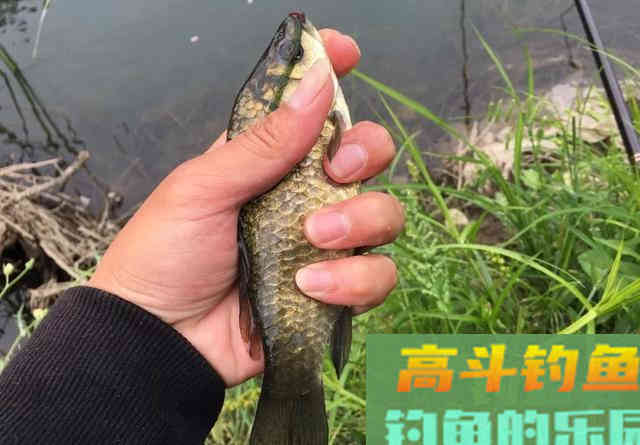 大风大浪看不清浮漂怎么办？这个办法很好用