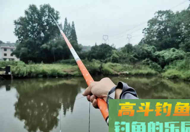 买大物竿多半是吃灰，野钓还得讲究实用