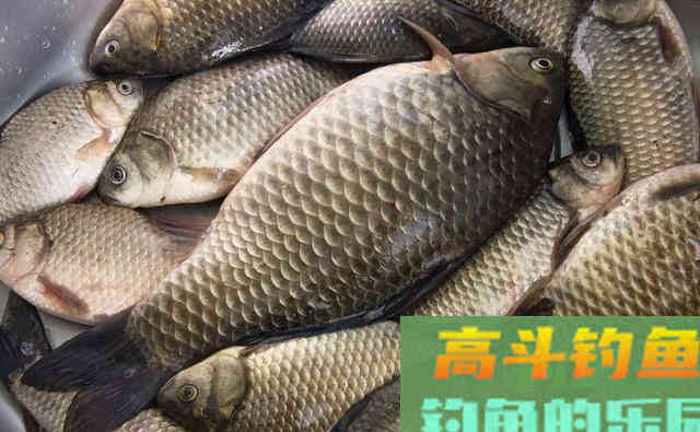 状态饵早已完美下课！还在没口空军中挣扎