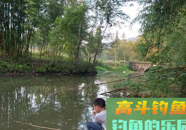 鱼吃得比人都好，为何还是钓不到鱼