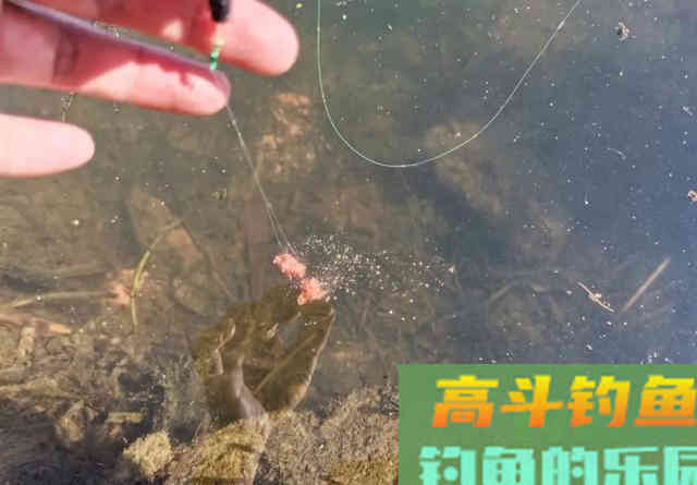 浅谈轻麸的实际作用