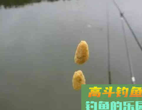 秋季钓鱼最常用的7种饵料，蓝鲫排第4，第1名当之无愧