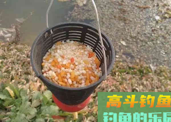 只要掌握这几点，小白开出的饵料也能连杆