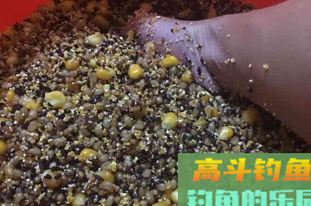 大师们不愿多提的5个钓鱼常识，却能帮新手少走许多弯路