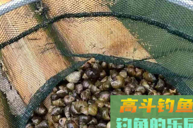 加了小药的饵就是好饵？别再盲目相信了