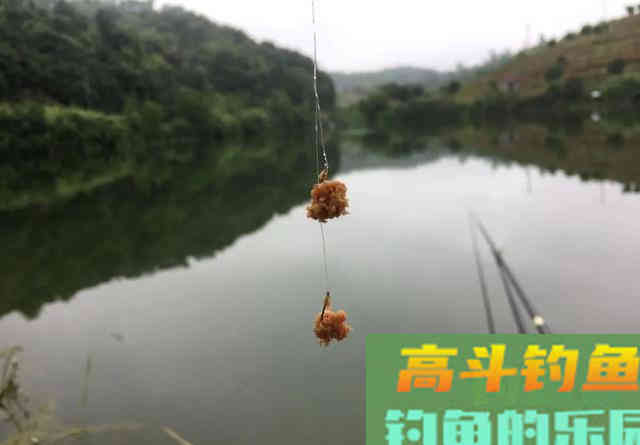 钩条的粗细会影响鱼吃口吗？黑坑与野钓有区别