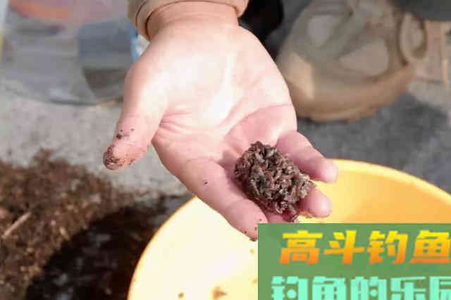 使用蚯蚓的这些技巧，实用性真的非常强