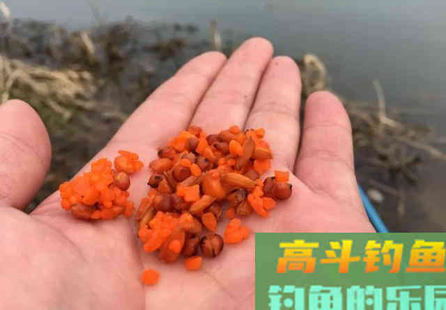 补窝未必有鱼，野钓碰到这3种情况别补窝