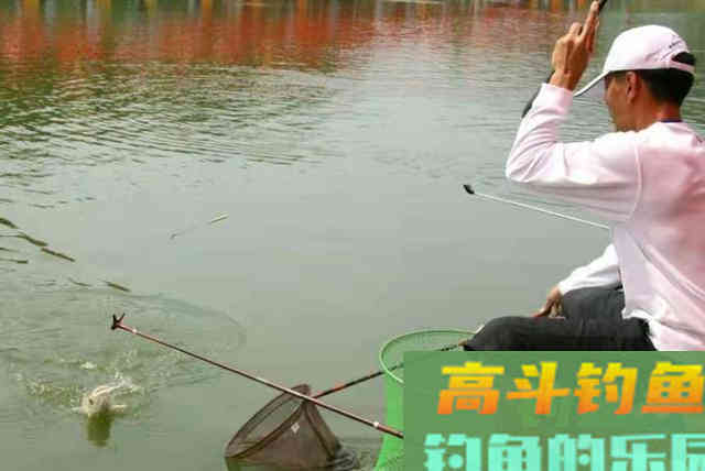 钓了二十年鱼，如今才知，太空豆还有这三个妙用