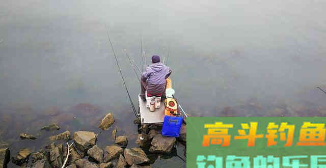 蚯蚓这么去加工，诱鱼效果不止翻一倍
