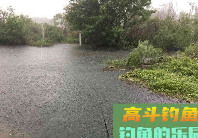 初春钓鱼，掌握好出钓时机比打重窝更管用
