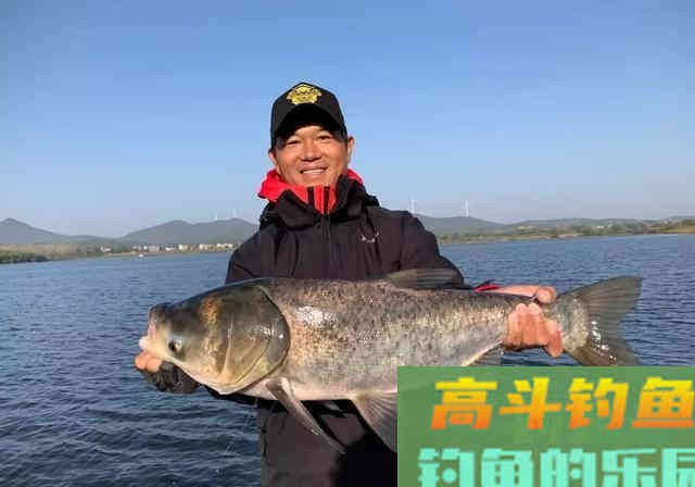 开饵方法稍作调整，不会钓鱼的也能爆钓鲢鳙