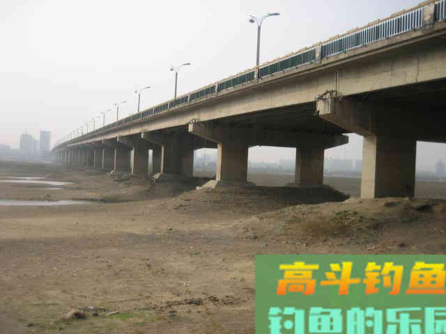 我钓鱼时常遇到的那位高手老黄，钓法出其不意