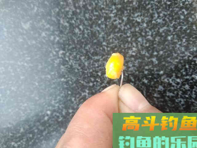 钩和饵的搭配讲究其实很多